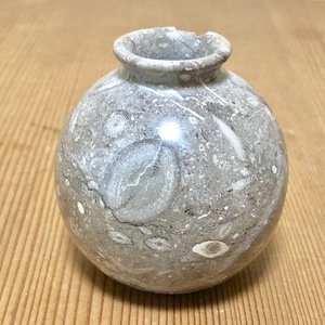 化石  加工物　 壺A