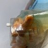 ゼンマイで動くステゴサウルス