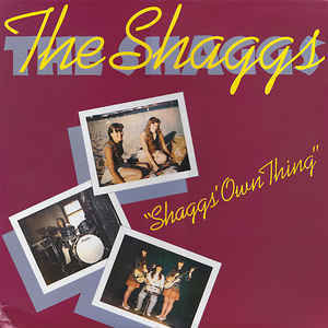 THE SHAGGS / Shaggs' Own Thing (stereo)