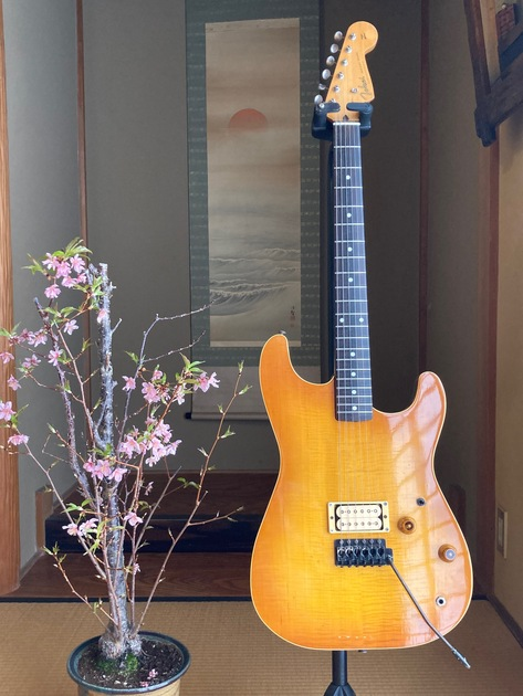1981 Tokai VS60 VF | Kei Antique Guitars Museum | MUUSEO 594408