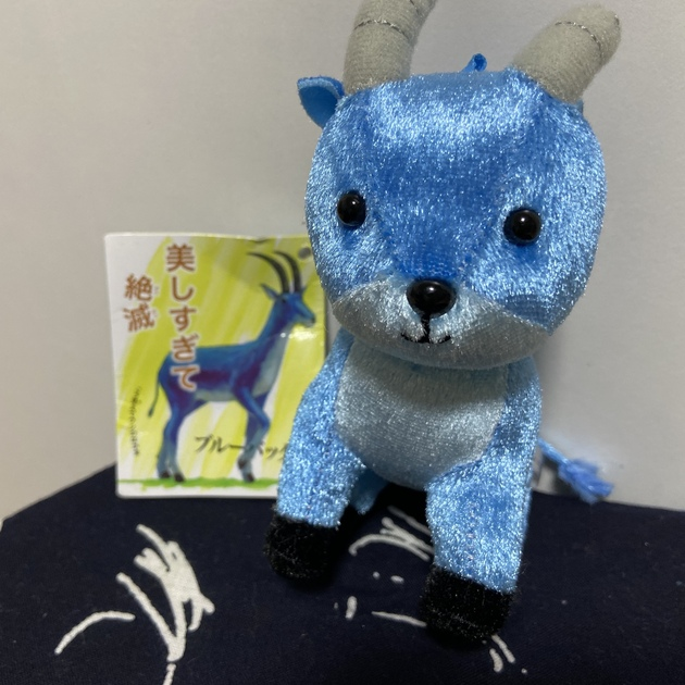 わけあって絶滅しました。 ブルーバックさん | nisipedino