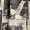 別冊ゴング 1981年6月号