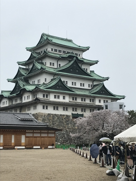 御城印コレクション コレクション | tetsuya.irie Museum | MUUSEO