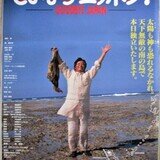GREEN BOY グリーンボーイ（1989年 松竹作品）映画ポスター ☆監督：石山昭信 出演：森田健作／福原学／山崎尚子 | mirairuka  Museum | MUUSEO 661825