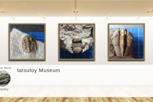 Museum screenshot user 14065 d009a4de 2f75 4088 a0db 3078bb770b98