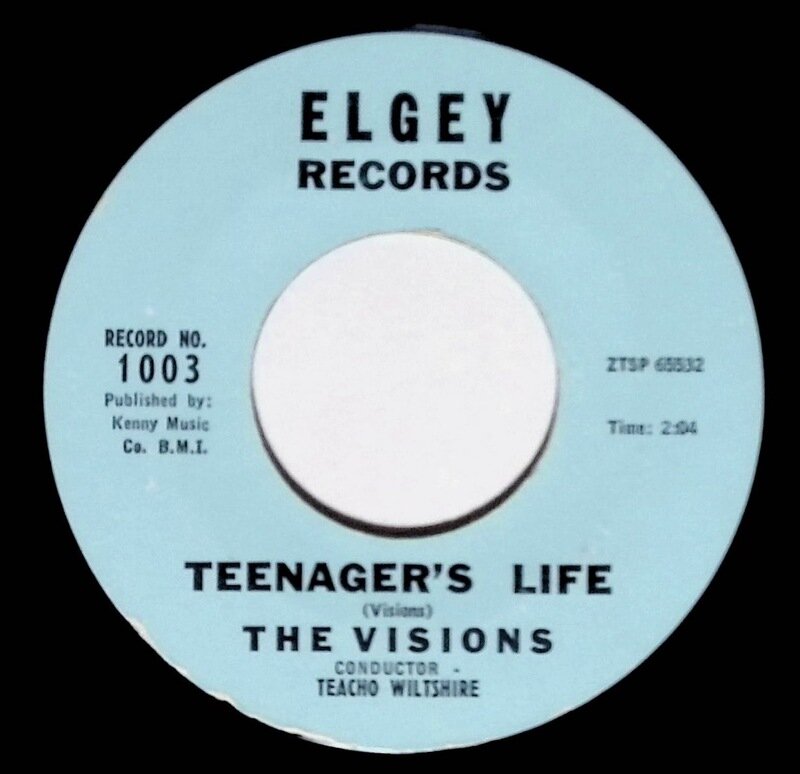 THE VISIONS / TEENAGER'S LIFE