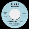THE VISIONS / TEENAGER'S LIFE