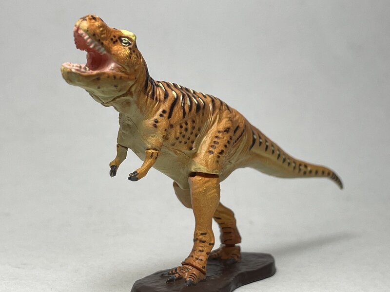 チョコラザウルス　ティラノサウルス　味覚糖