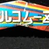 大里のグライダー主翼