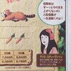 あらいぐまラスカル　アリス（外2）広告掲載画