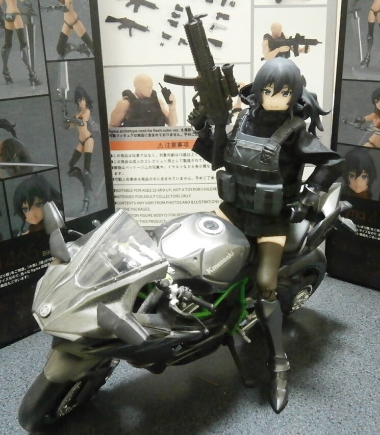 ビキニアーマーマコト変更品