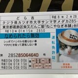 【送料無料ライン/39ショップ】 | 全日本暴猫連合 yazawa830280zx 1035787 MUUSEO | Museum その他