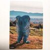 ヒモノラカード㉖
