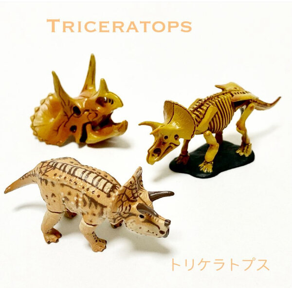 ビーパル チョコエッグ リュウキュウヤマガメ×4体 チョコラ
