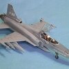 F-20 タイガーシャーク（ハセガワ1/72）