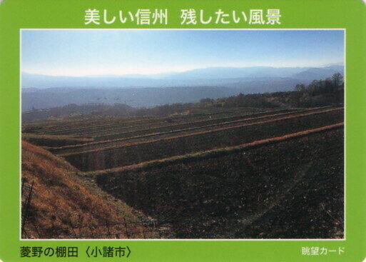 菱野の棚田　<小諸市>