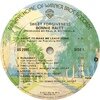 Bonnie Raitt / Sweet Forgiveness  US Original