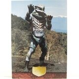 高評価アイテム 仮面ライダー トレーディングコレクション 1号・2号編 No.004 アニメ