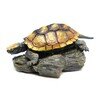 イシガメ  【ミニコレクション】