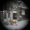 Optimat 18mm-f1.7