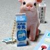 ご当地牛乳コレクション2