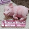 昭和ロマンシリーズペアホテルキー2