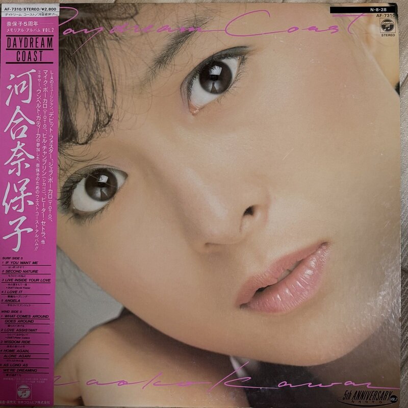 Daydream Coast / 河合奈保子