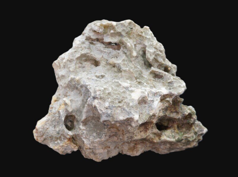 琉球石灰岩 (Ryukyu limestone)　西平安名崎　#0710