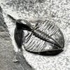 Ampyx gongwusuensis