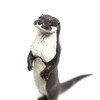 二ホンカワウソ　【カプセルQ】