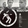 WARNING : GREEN DAY(紙ジャケCD)