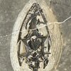 ケイチョウサウルス（貴州竜）