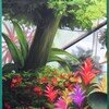 風雪月花