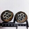 セプタリアン