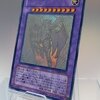 遊戯王　PTDN版　レインボー・ネオス