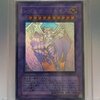 遊戯王　PTDN版　レインボー・ネオス
