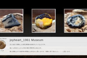 Museum screenshot user 14621 c8d86925 70d5 46ec 941b b7d3f6ff4647
