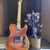 Not Assured / Relic Gold Burst Pink Paisley Tele