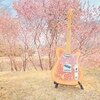 Not Assured / Relic Gold Burst Pink Paisley Tele