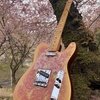 Not Assured / Relic Gold Burst Pink Paisley Tele