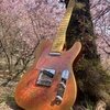 Not Assured / Relic Gold Burst Pink Paisley Tele