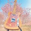 Not Assured / Relic Gold Burst Pink Paisley Tele