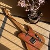 Not Assured / Relic Gold Burst Pink Paisley Tele