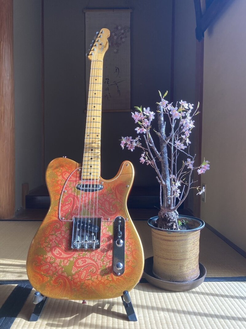 Not Assured / Relic Gold Burst Pink Paisley Tele