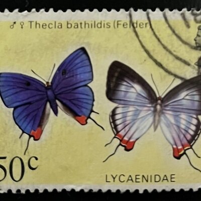 Belize Stamps