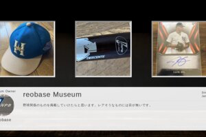 Museum screenshot user 24926 8abcbacc 806c 4e24 b61a c8c01d73af19