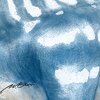フクイサウルス　日本の恐竜　イグアノドン類の固有種として正式に名称が確定した。