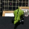 Speed-a-Saurus(スピード-A-サウルス)
