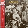 Caravan / Waterloo Lily