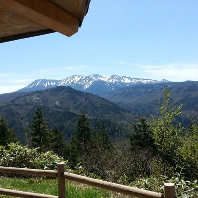 石と化石